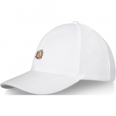 Logotrade Geschäftsgeschenke das Foto: Drake Trucker Kappe mit 6 Segmenten