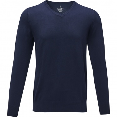 Logo trade promotional merchandise picture of: Stanton men's v-neck pullover