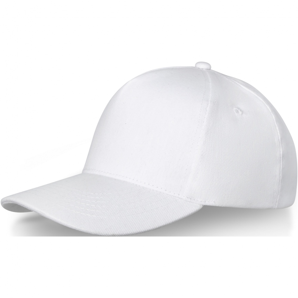 Logotrade corporate gifts photo of: Doyle 5 panel cap