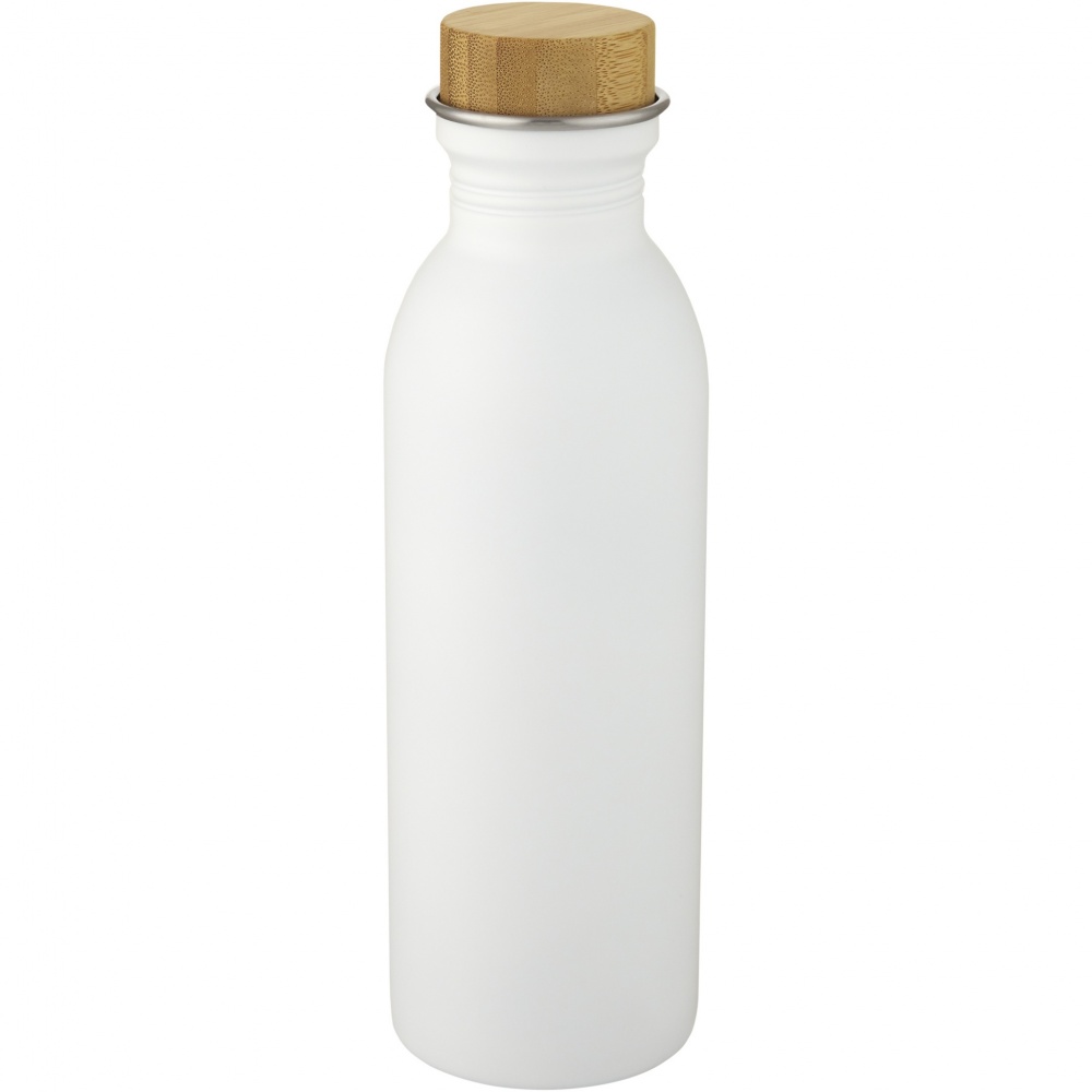 Logotrade corporate gift picture of: Kalix 650 ml stainless steel water bottle