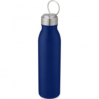 Logotrade promotional merchandise picture of: Harper 700 ml stainless steel water bottle with metal loop