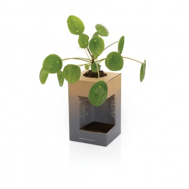 Logotrade promotional product image of: Avira Alya RCS Re-steel tumbler 300 ml