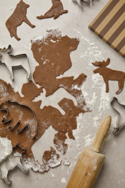 Logo trade advertising products image of: VINGA Nordic big 5 cookie cutter 5-piece set