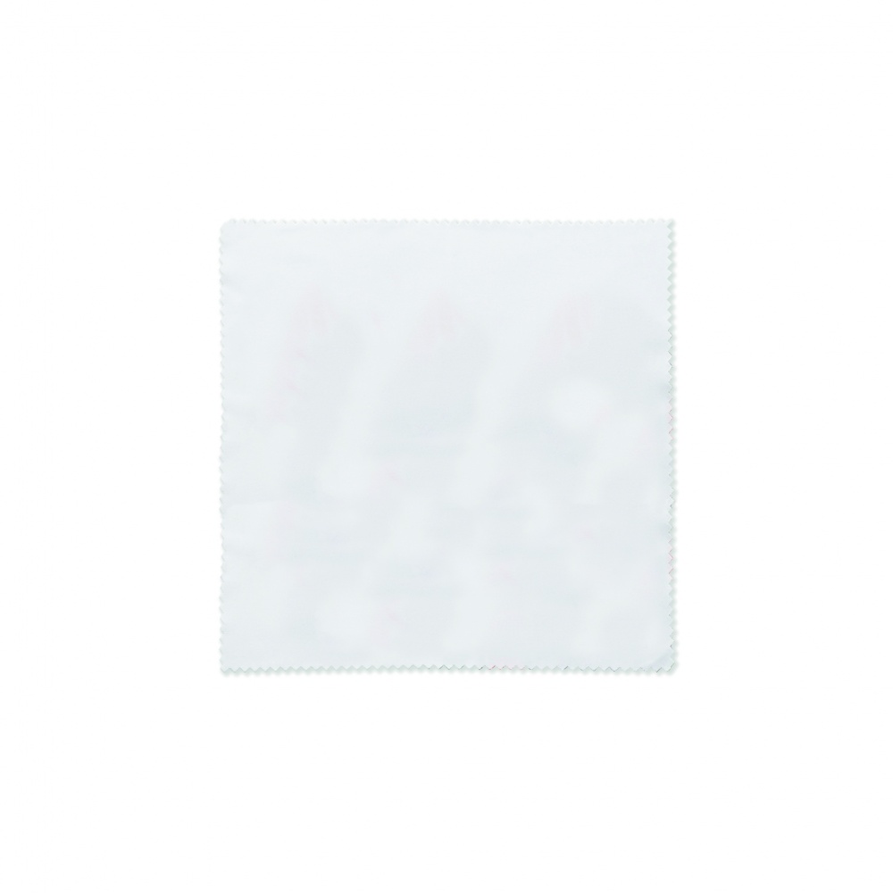 Logotrade promotional merchandise image of: RPET cleaning cloth 13x13cm