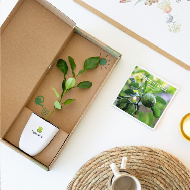 Logo trade promotional giveaway photo of: Treemore Letterbox Trees Kaffir Lemon