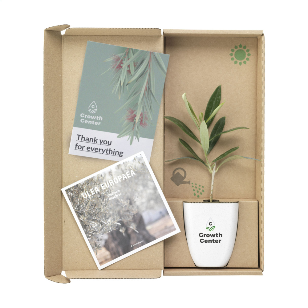 Logotrade promotional item image of: Treemore Letterbox Trees Olive