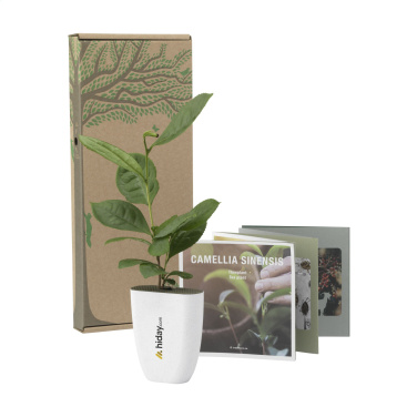 Logotrade promotional merchandise image of: Treemore Letterbox Trees Tea plant