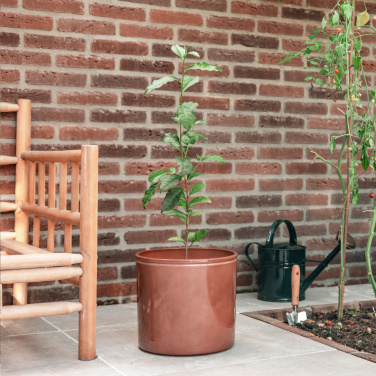 Logotrade business gifts photo of: Treemore Letterbox Trees Tea plant
