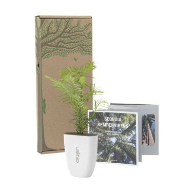 Logotrade promotional products photo of: Treemore Letterbox Trees Giant Sequoia