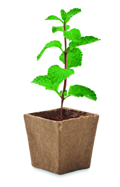 Logotrade corporate gifts photo of: Mint seeds growing kit