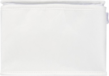 Logotrade promotional gift picture of: Spectrum 6-can recycled non-woven cooler bag 4L
