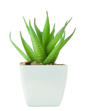 Logo trade business gifts image of: Mini artificial plant