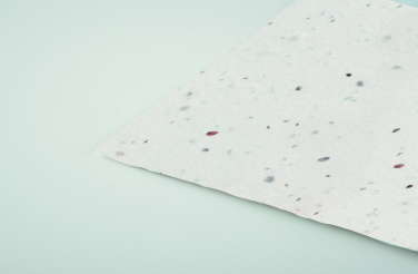 Logotrade promotional merchandise photo of: Wildflower seed business card.