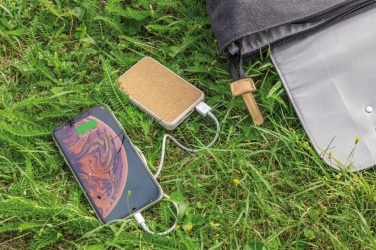 Logo trade meened foto: Korgist ja nisust 5000 mAh taskujõupank