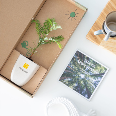 Logo trade firmakingitused foto: Treemore'i kirjakastipuud hiiglaslik sekvoia