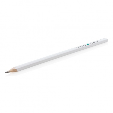 Logotrade mainoslahja tuotekuva: 25 cm timpurin kynä