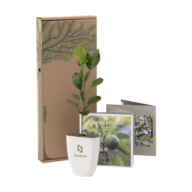 Logotrade mainoslahja ja liikelahja kuva: Treemore Letterbox Trees Kaffir Lemon