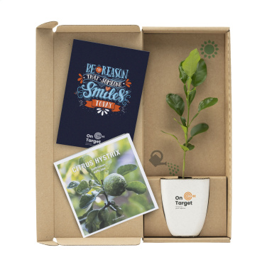 Logo trade mainostuote kuva: Treemore Letterbox Trees Kaffir Lemon