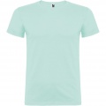 Beagle kortärmad T-shirt för herr, Mynta