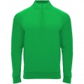 Epiro långärmad sweatshirt med kvartslång dragkedja för barn, Ormbunke grön